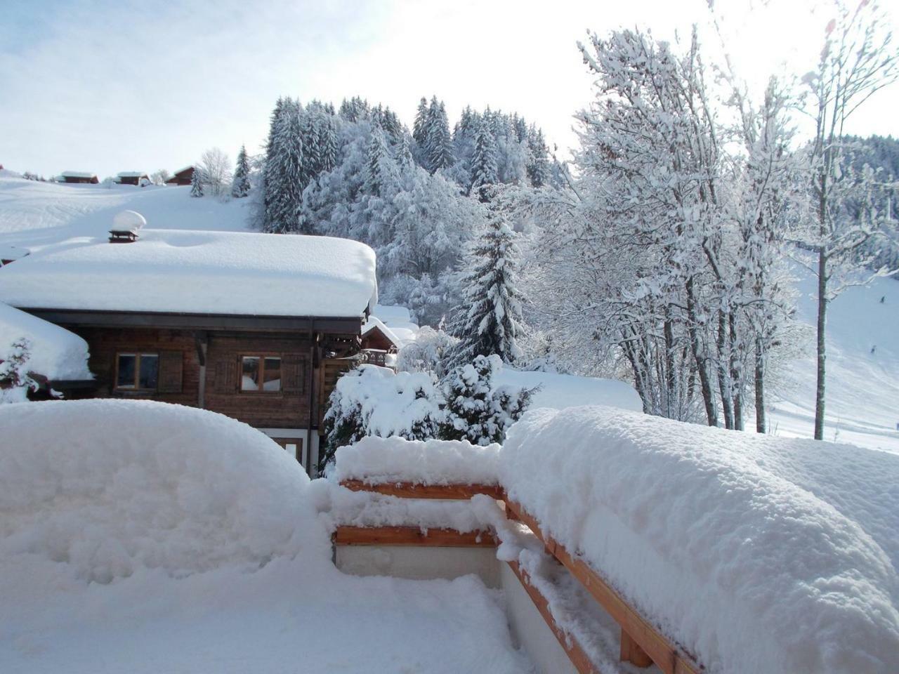 Chalet Jonquille Les Gets Ngoại thất bức ảnh