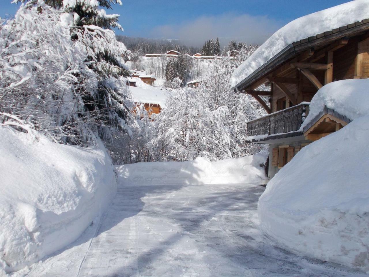 Chalet Jonquille Les Gets Ngoại thất bức ảnh