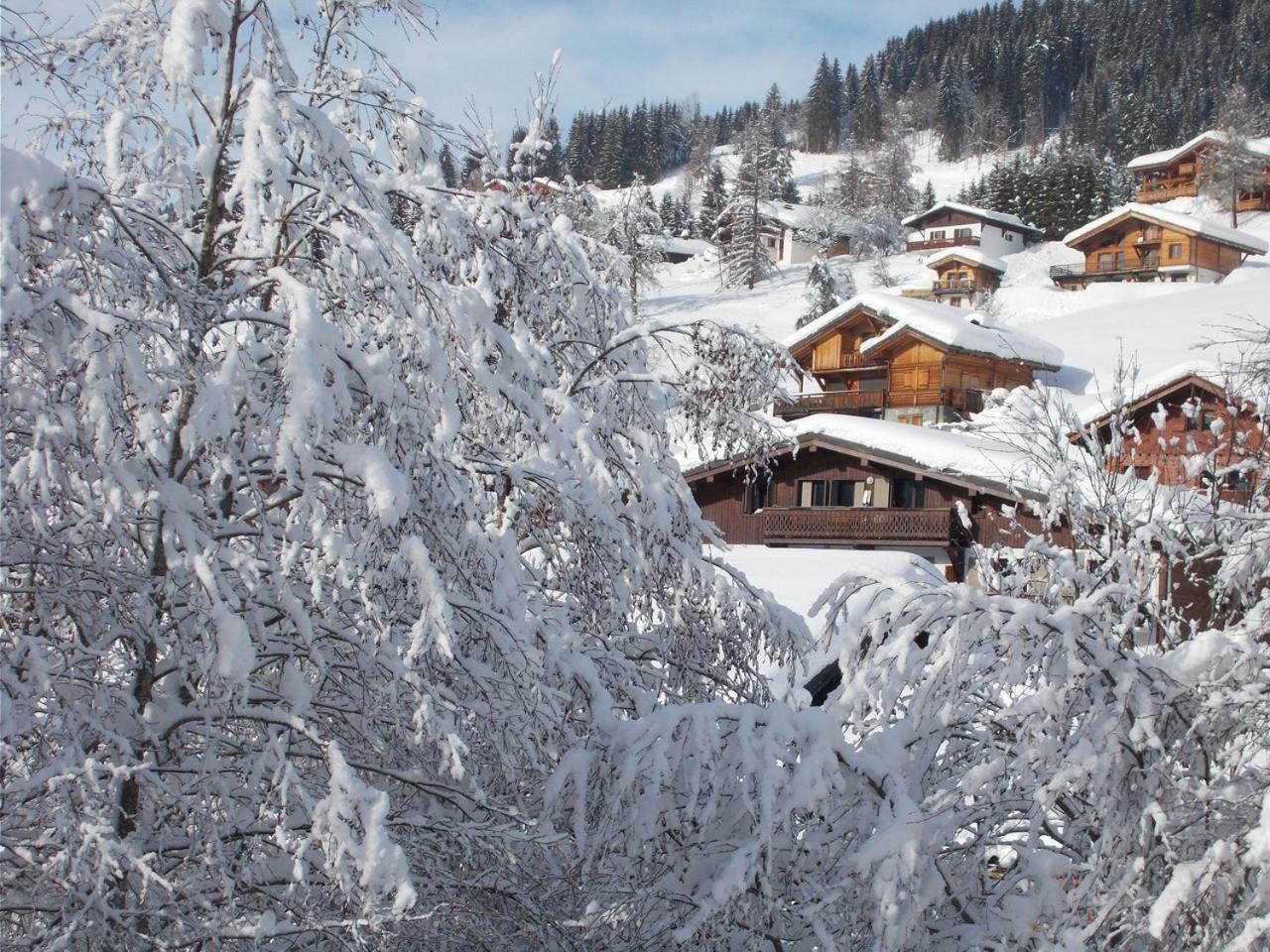 Chalet Jonquille Les Gets Ngoại thất bức ảnh